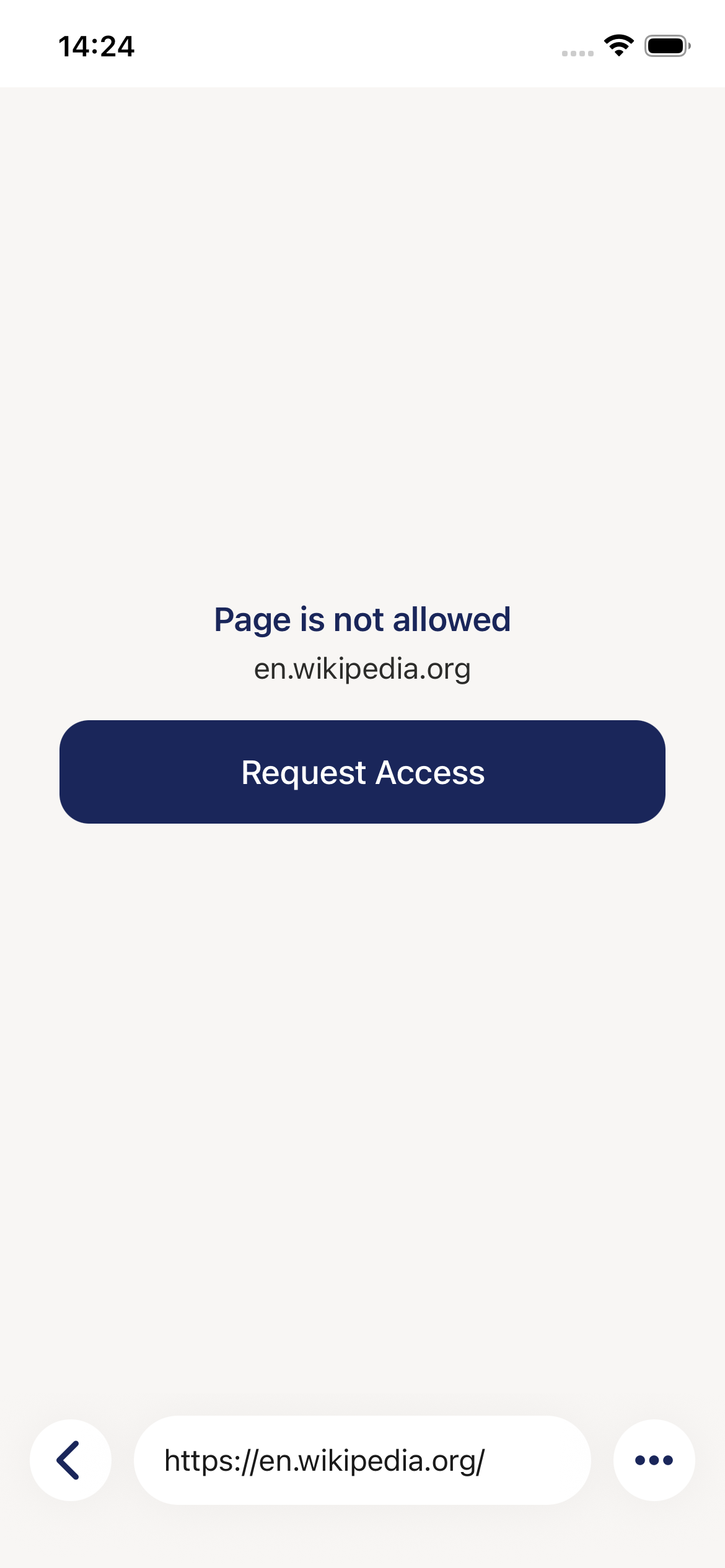 Blocked Website Screen